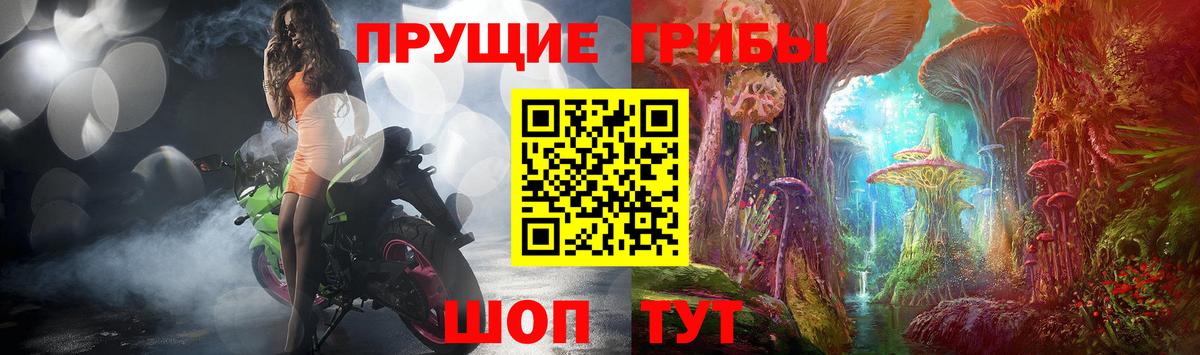 Галлюциногенные грибы Magic Shrooms  как найти закладки  Вход с VPN  Краснознаменск  Псилоцибиновые грибы ЛСД 